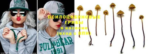 трава Киренск