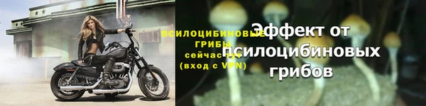 прущая мука Кинешма