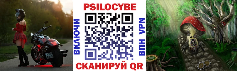 Купить закладки  Касли  Псилоцибиновые грибы ЛСД 